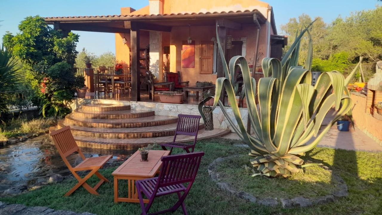 אלגהרו Villa Relax Tra Gli Ulivi מראה חיצוני תמונה
